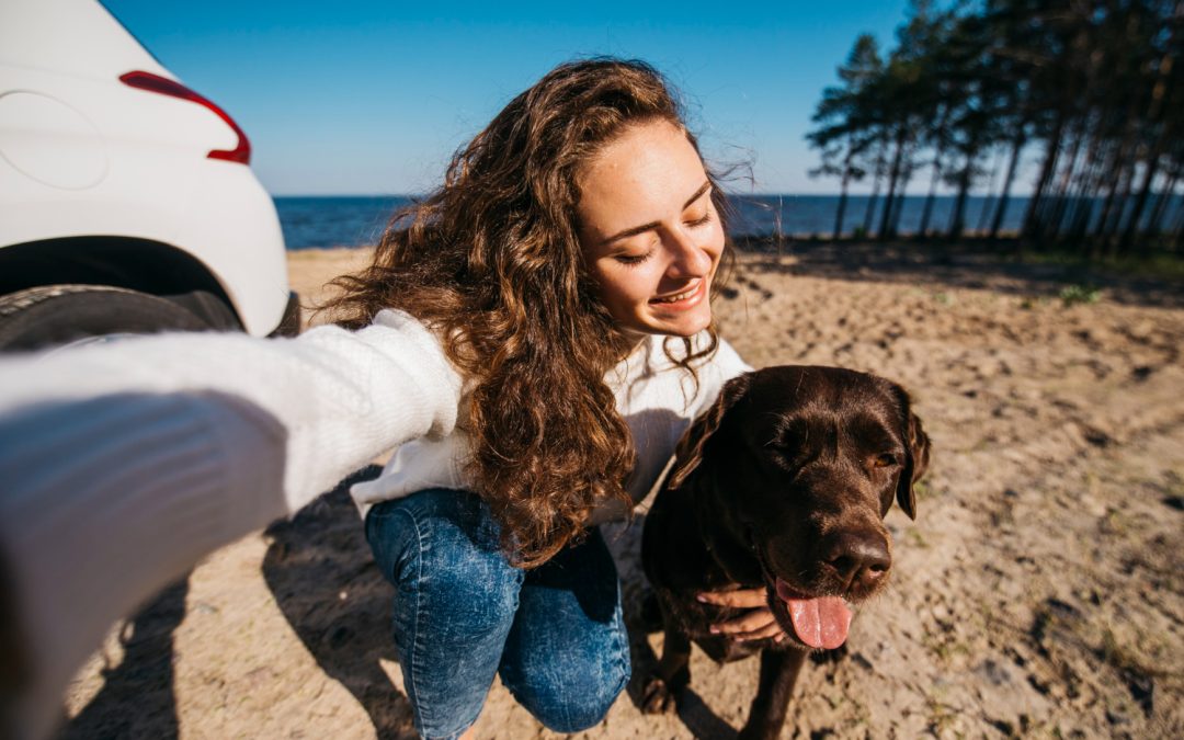 Viaja con mascotas este verano: Guía y consejos útiles